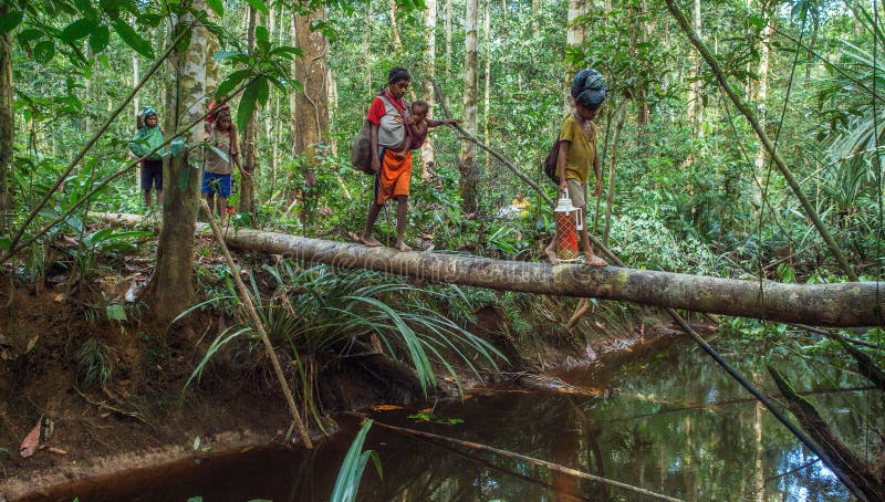 INDONESIA, IRIAN JAYA, ASMAT PROVINCE, JOW VILLAGE - MAY 23: People crossing river on the tree trunk bridge, tribe of Korowai people. Family tribe of Korowai. New Guinea, Indonesia. May 23, 2016. INDONESIA, IRIAN JAYA, ASMAT PROVINCE, JOW VILLAGE - MAY 23: People crossing river on the tree trunk bridge, tribe of Korowai people. Family tribe of Korowai. New Guinea, Indonesia. May 23, 2016