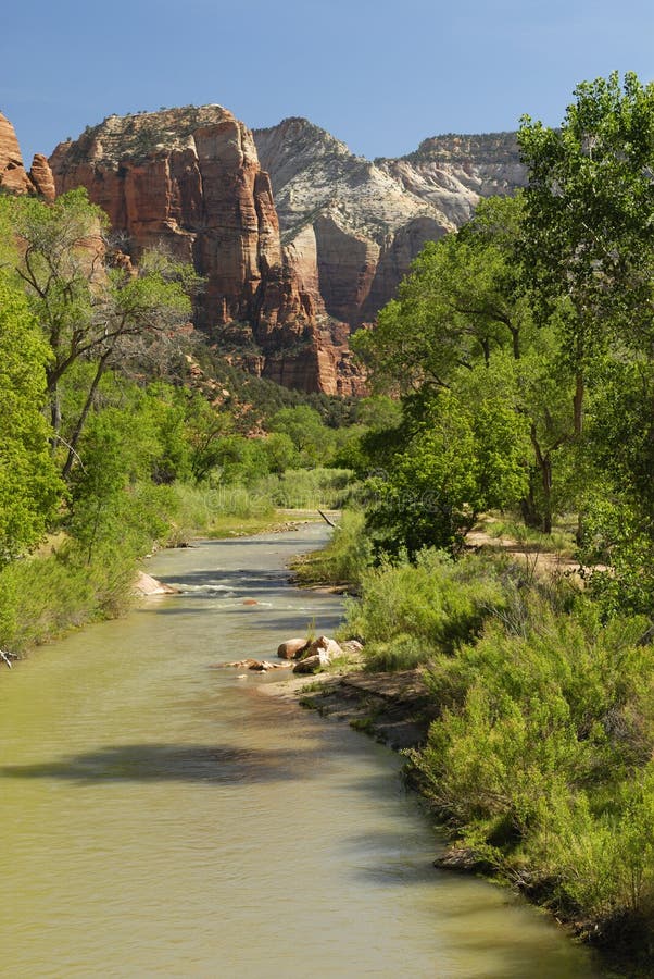 Rio Virgin no Parque Nacional de Zion, Utah fotos de stock royalty free