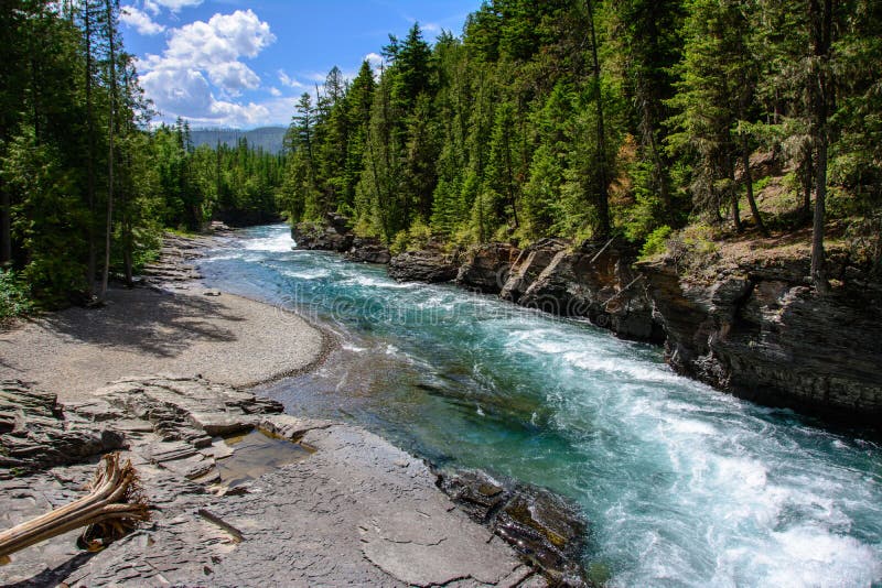 Rio Flathead da forquilha média no parque nacional de geleira, Montana E.U.