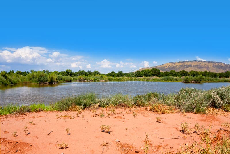 Rio Grande natury centrum stanu park fotografia stock Rio Grande natury centrum stanu park fotografia stock