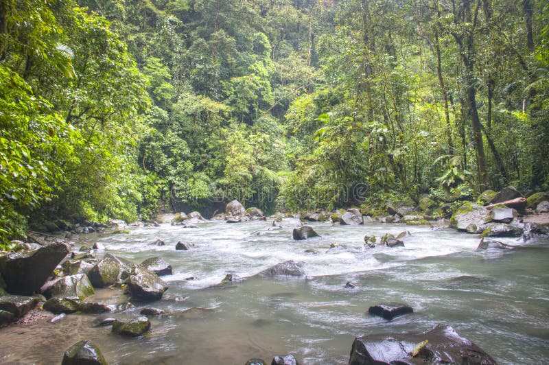 Rio na cachoeira de Fortuna do La no parque nacional de Arenal, Costa Rica imagens de stock Rio na cachoeira de Fortuna do La no parque nacional de Arenal, Costa Rica imagens de stock