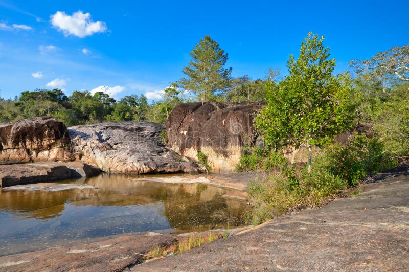 Rio on Pools in het Mountain Pine Ridge Forest Reserve, Belize royalty-vrije stock foto