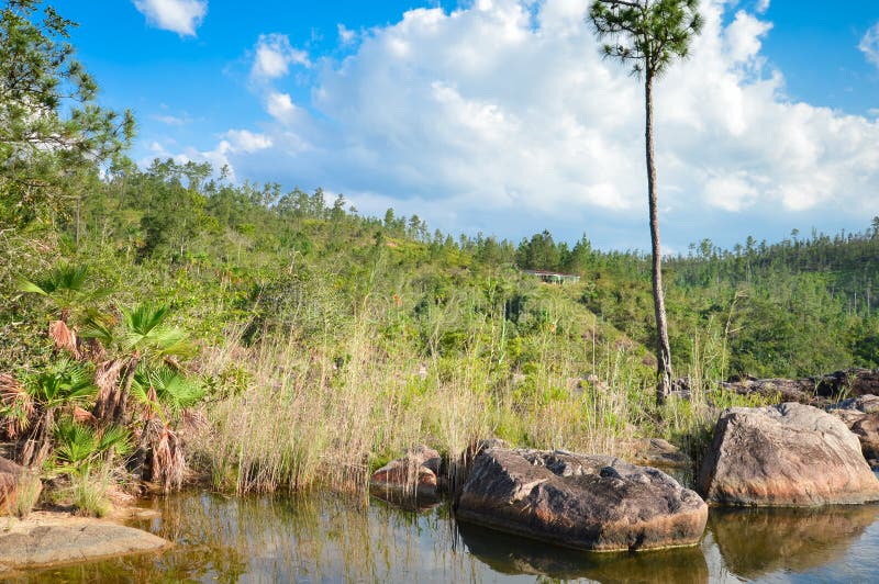 Rio on Pools in het Mountain Pine Ridge Forest Reserve, Belize royalty-vrije stock afbeeldingen