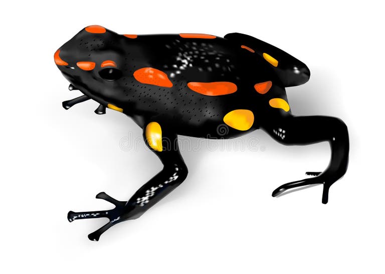 Poison Dart Frog Stock Illustrations – 1,313 Poison Dart Frog Stock