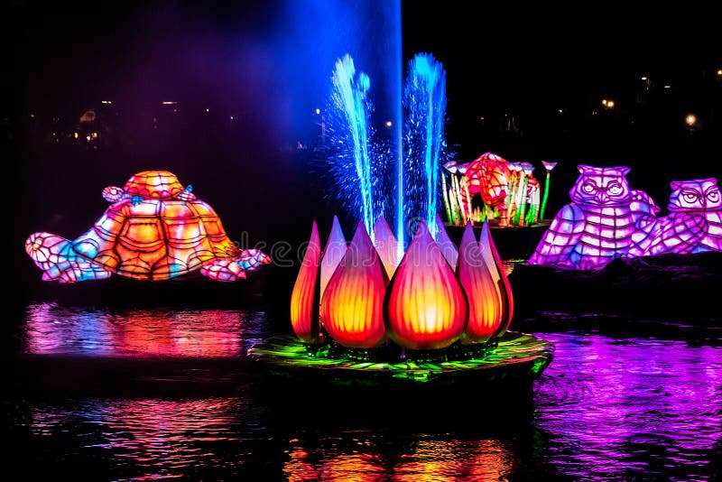 Rios da luz nós somos uma mostra no reino animal em Walt Disney World 9