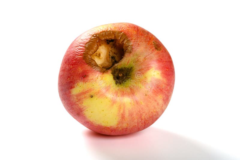Apple Bited Photos Free Royalty Free Stock Photos From Dreamstime Apple Bited Photos Free Royalty Free Stock Photos From Dreamstime