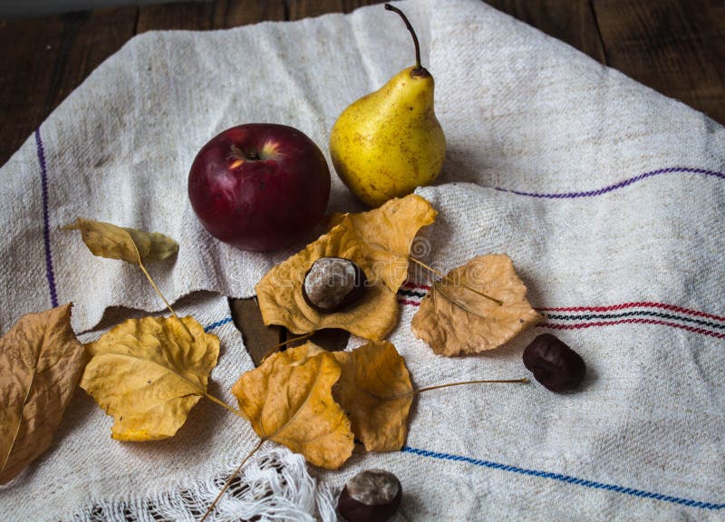 Ripe apple and pear and yellow leaves and chestnut stock photography Ripe apple and pear and yellow leaves and chestnut stock photography