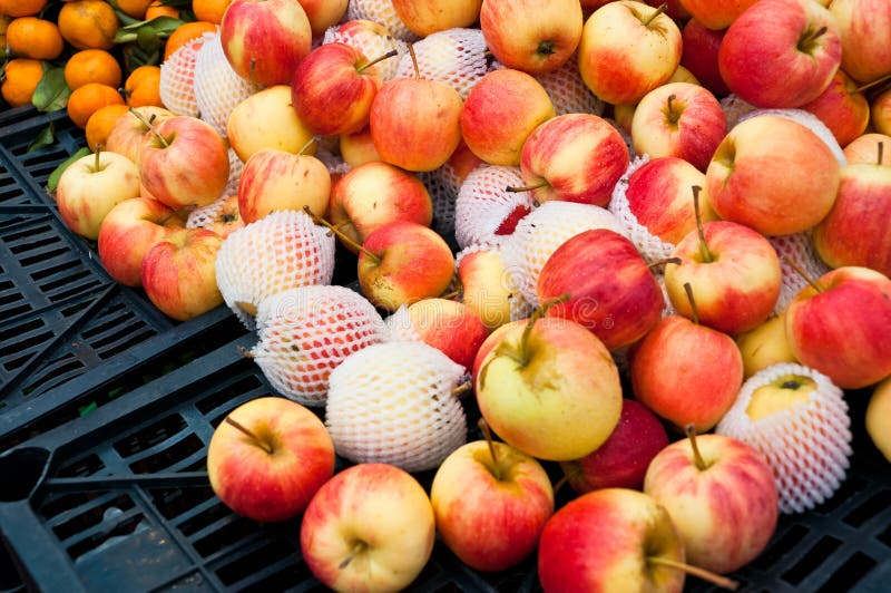 Ripe apple on sale stock photo. Image of natural, produce 24824236