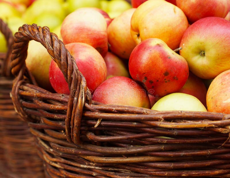 Ripe apples in the basket