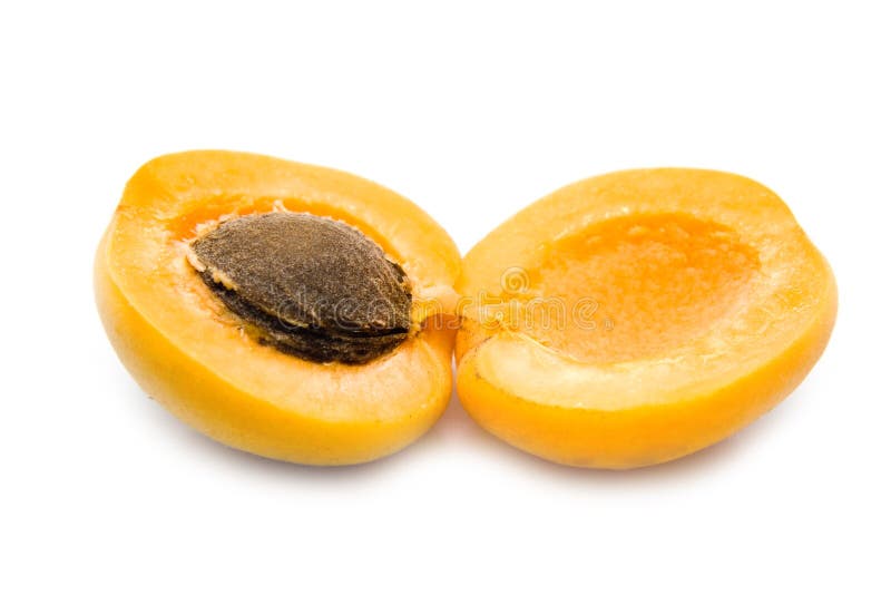 Ripe apricot