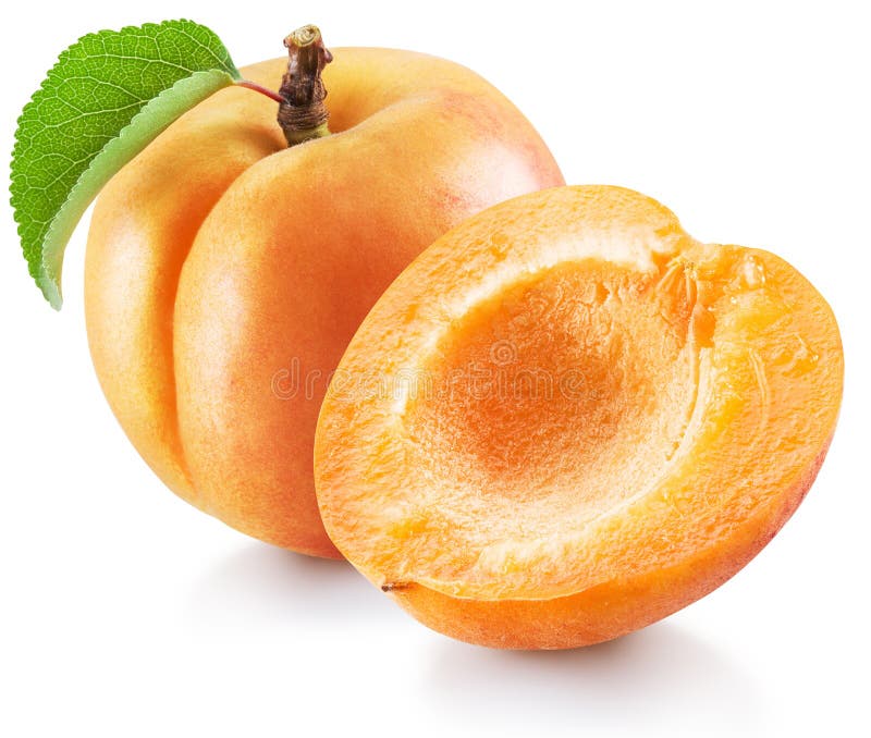 Ripe Apricot Fruit with Green Leaf and Apricot Half. File Contains
