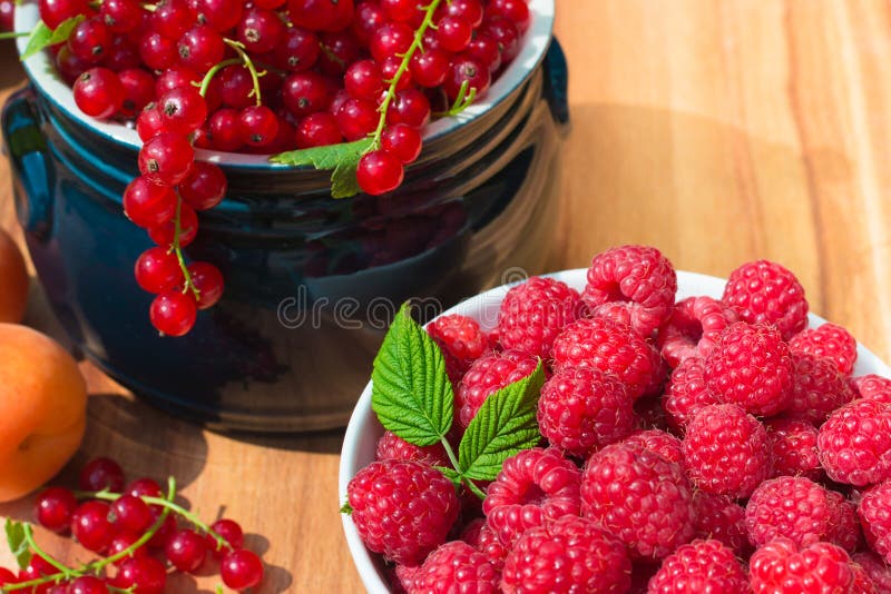 Ripe Apricot, Raspberry and Red Currant