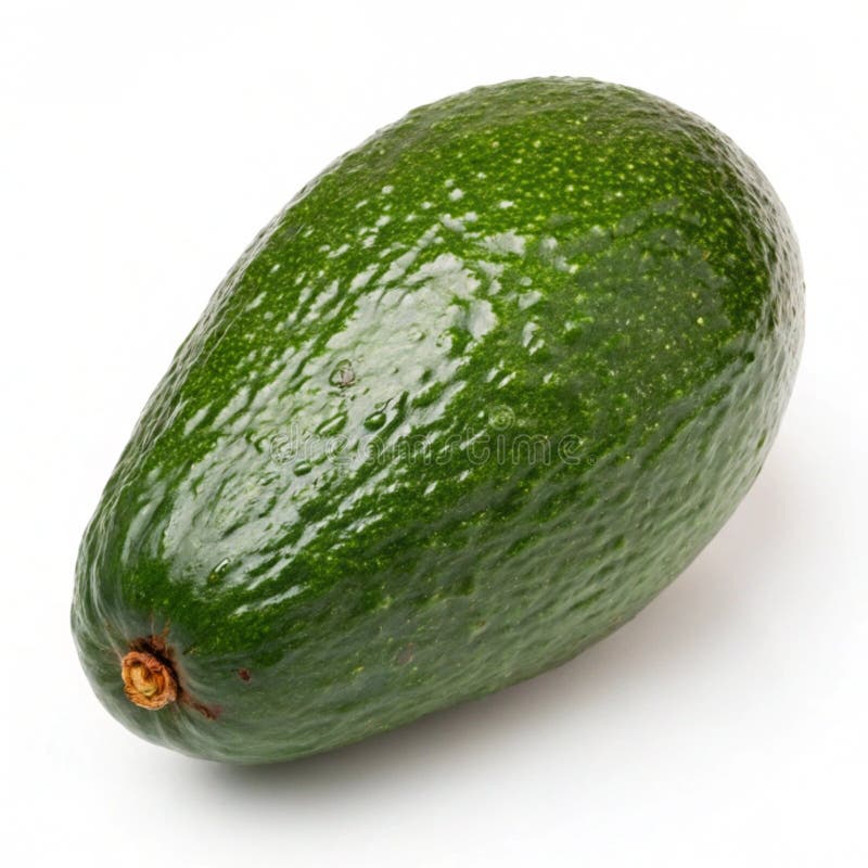 Ripe avocado isolerad vektor illustrationer
