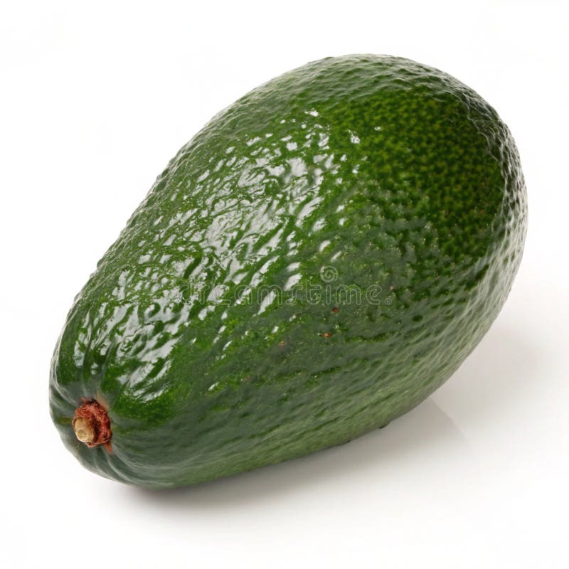 Ripe avocado isolerad vektor illustrationer