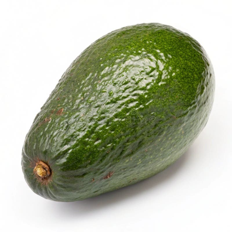 Ripe Avocado isolerat på vit bakgrund vektor illustrationer
