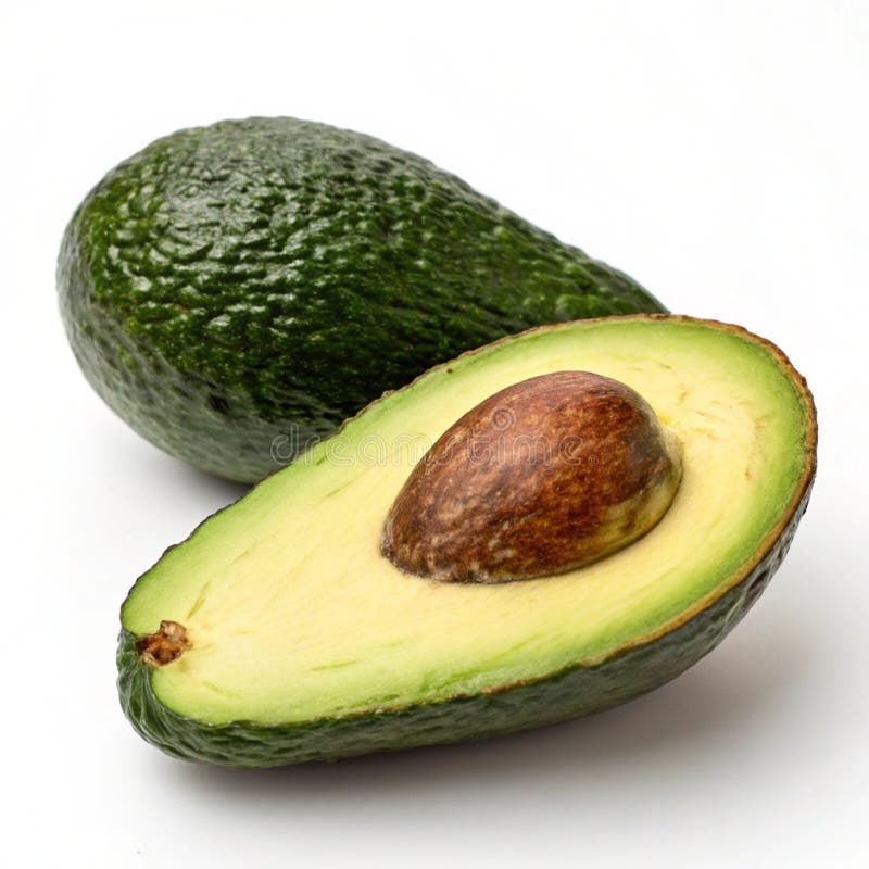 Ripe avocado isolerat på vit bakgrund vektor illustrationer