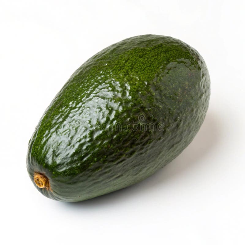 Ripe avocado isolerat på vit bakgrund vektor illustrationer