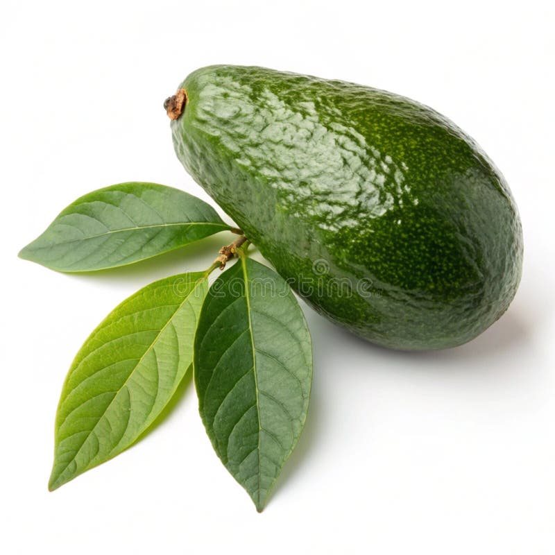 Ripe Avocado med blad isolerade på vit bakgrund royaltyfri illustrationer