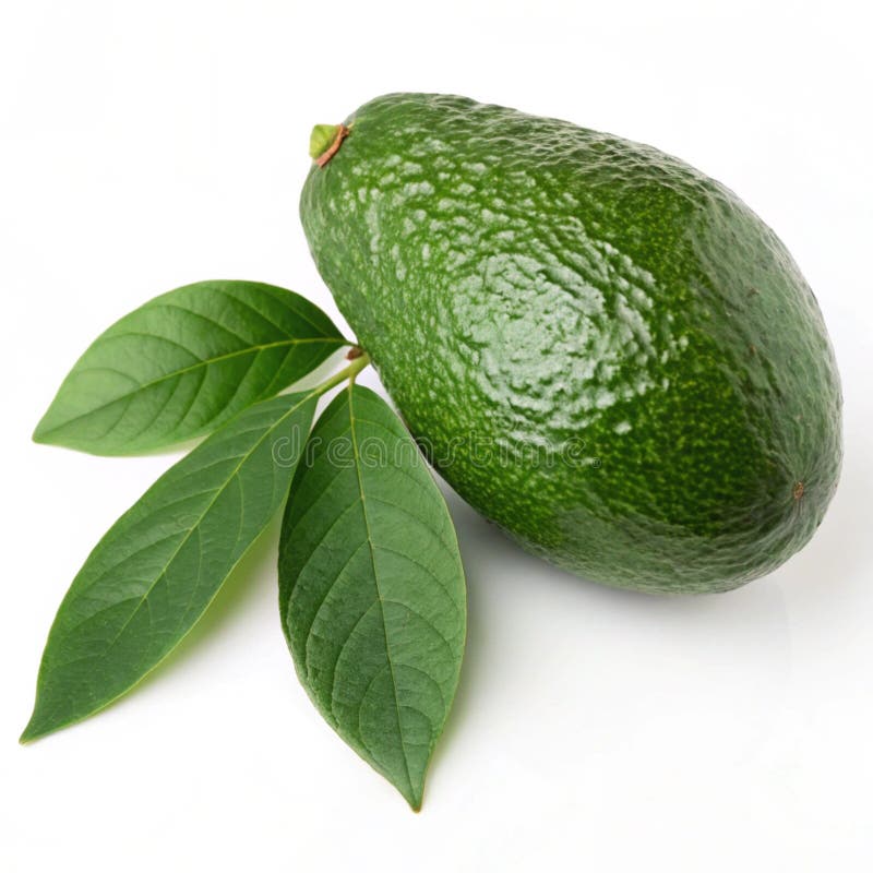 Ripe Avocado med blad isolerade på vit bakgrund vektor illustrationer