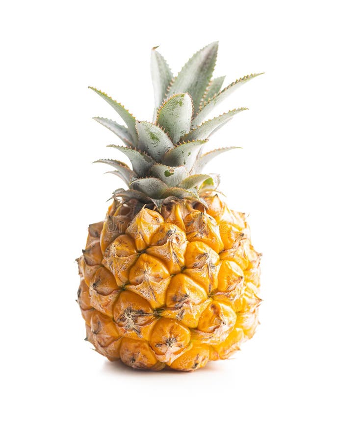 2,232 Baby Pineapple Stock Photos Free & RoyaltyFree Stock Photos