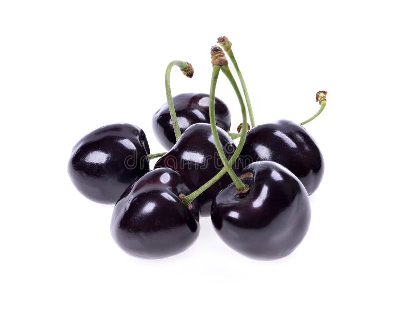 ripe black cherries royalty free stock photos