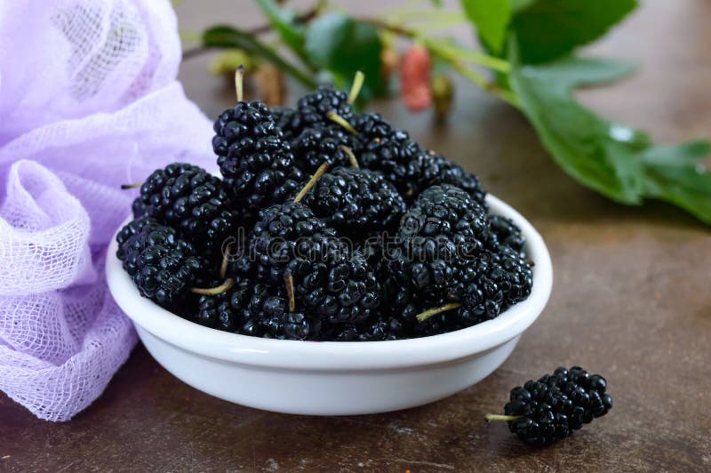 Ripe black mulberry in a bowl. Close up. stock image