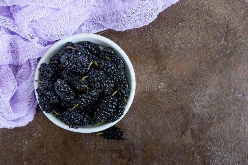 Ripe black mulberry in a bowl. royalty free stock image