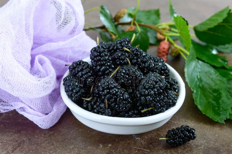 Ripe black mulberry in a bowl. stock photos