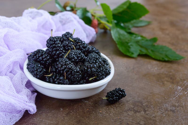 Ripe black mulberry in a bowl. stock images