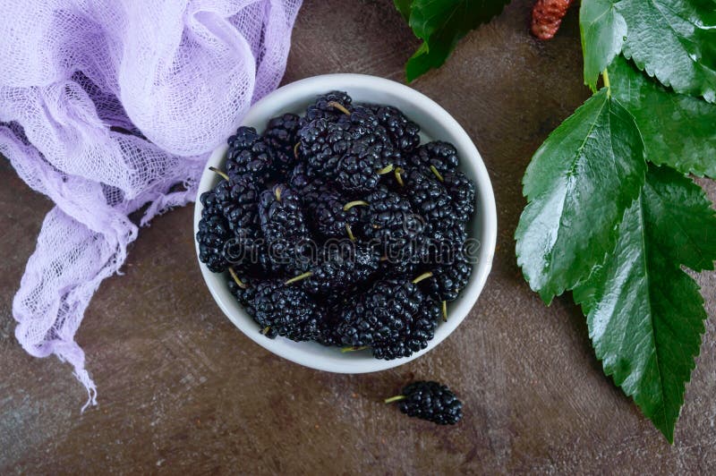 Ripe black mulberry in a bowl royalty free stock photo