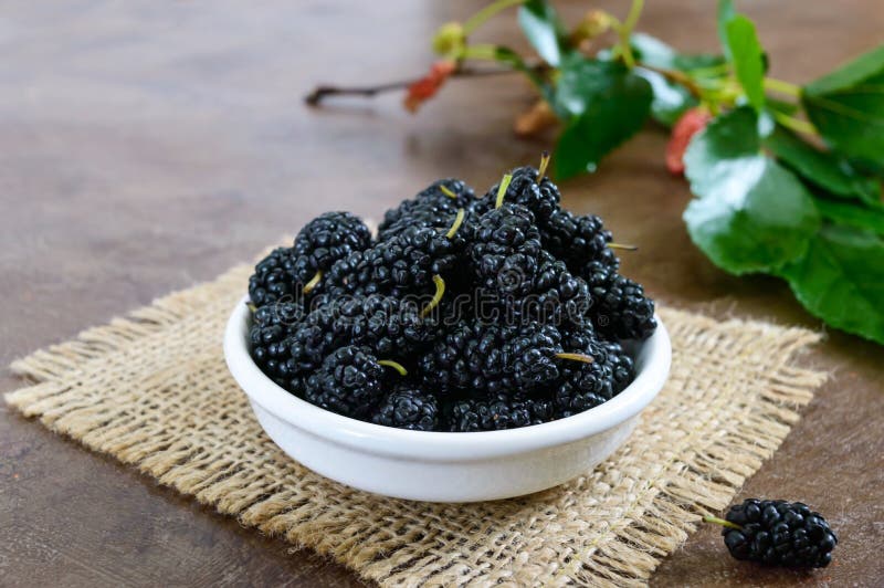 Ripe black mulberry in a bowl. stock image