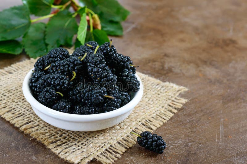 Ripe black mulberry in a bowl. stock image