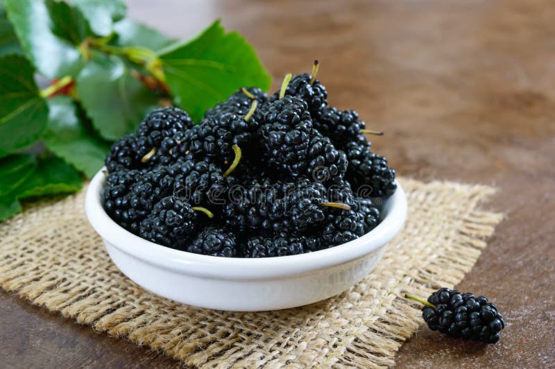 Ripe black mulberry in a bowl. royalty free stock images