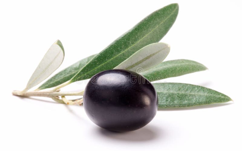 Ripe black olive with leaves. royalty free stock photo