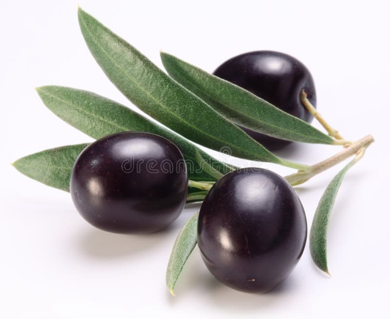 Ripe black olives with leaves. royalty free stock photos