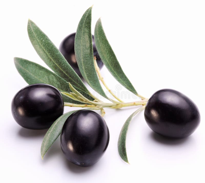 Ripe Black Olive with Leaves. Stock Photo Image of vegetarian, fresh