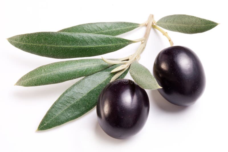 Ripe black olives with leaves. royalty free stock image
