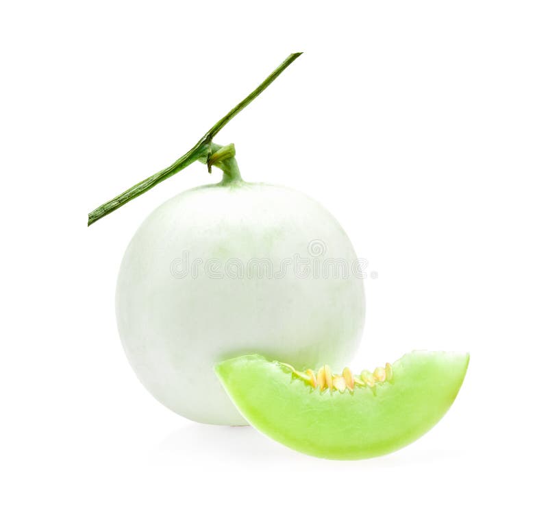 Ripe Cantaloupe Melon Isolated on White Stock Photo Image of food