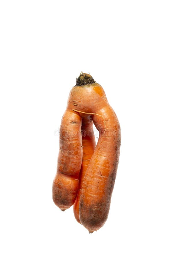 Ripe Carrots of an Unusual Shape on a White Background Stock Photo