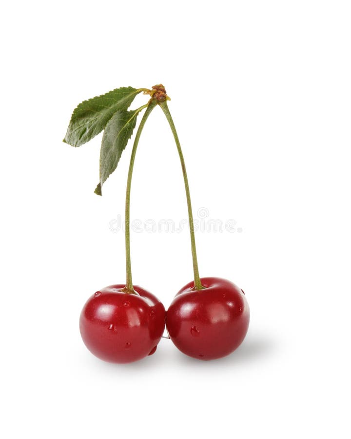 Ripe Cherries with Stem and Leaves Stock Image - Image of berry, nature ...