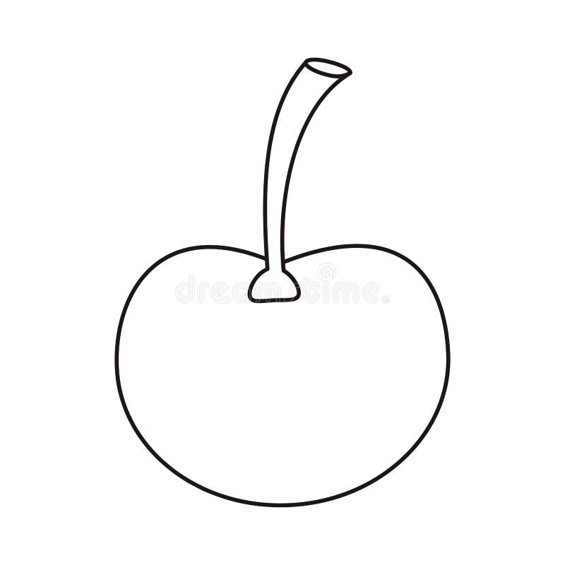 Ripe Cherry Fruit Nature Design Outline Stock Vector Illustration of