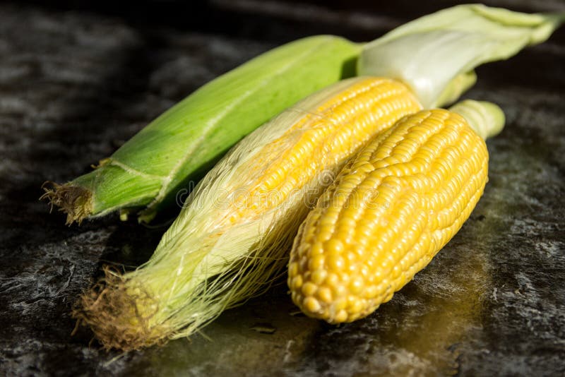 Ripe Corn in the Husk . Healthy Eating Stock Image Image of crop