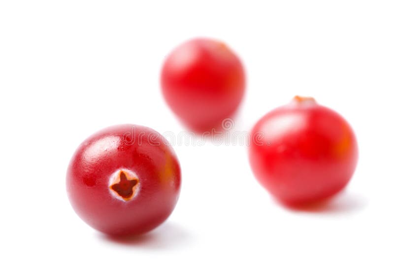 Cranberries stock image. Image of taste, organic, citrus 1775069