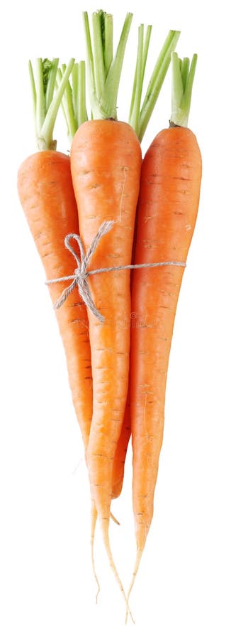 Ripe fresh carrots