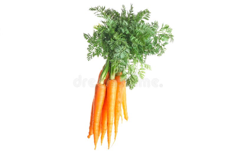 Ripe fresh carrots isolated