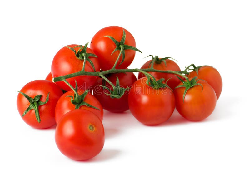 Ripe fresh cherry tomatoes on branch