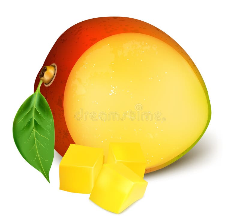 Ripe fresh mango with slices. vector illustration