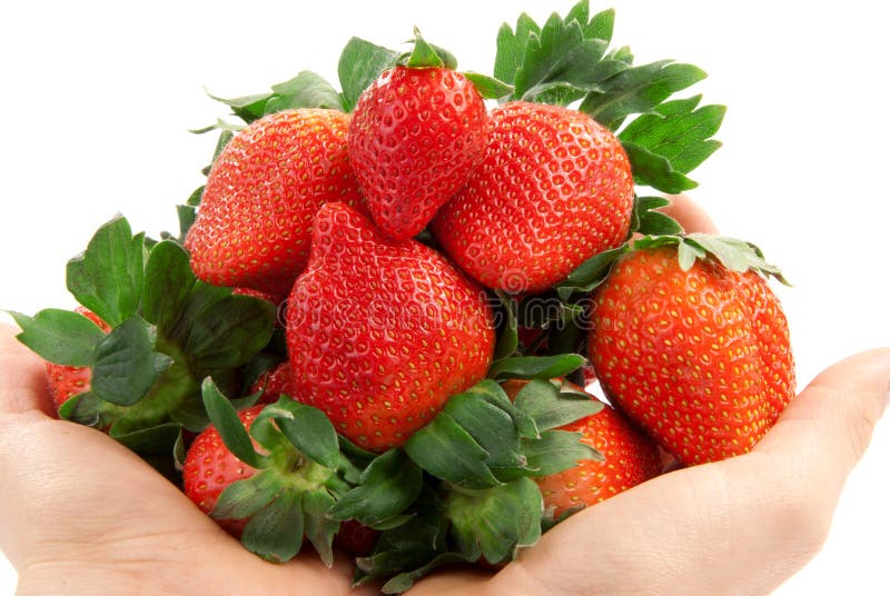 Ripe fresh organic Strawberries in hands