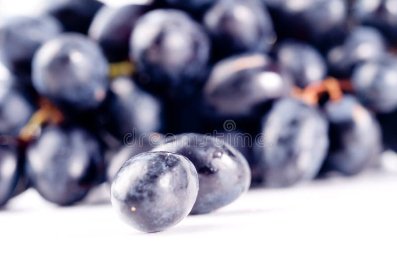 Ripe Grape isolated