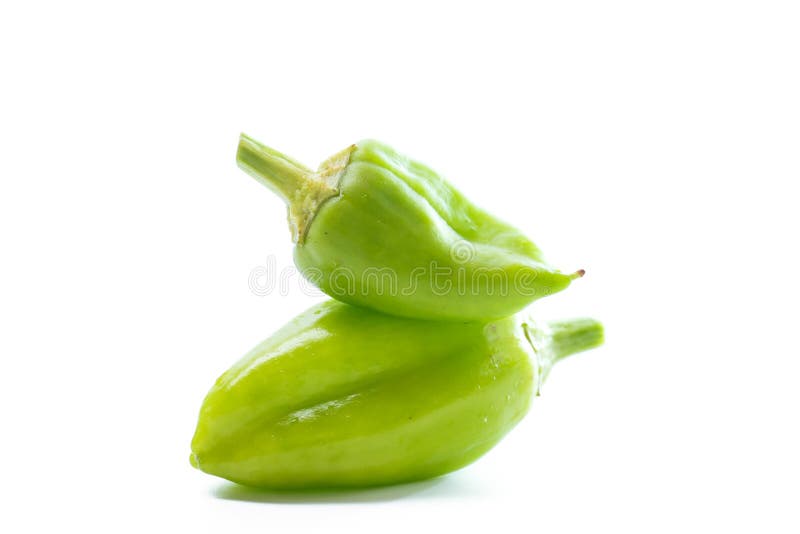 Ripe green pepper